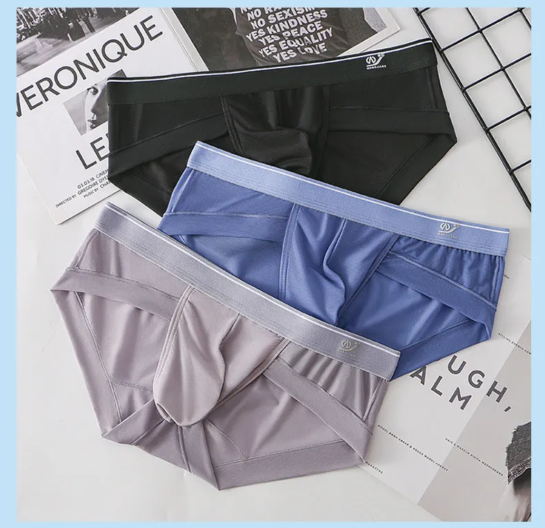 2023 Newest Ice Silk Mesh Men's Brief