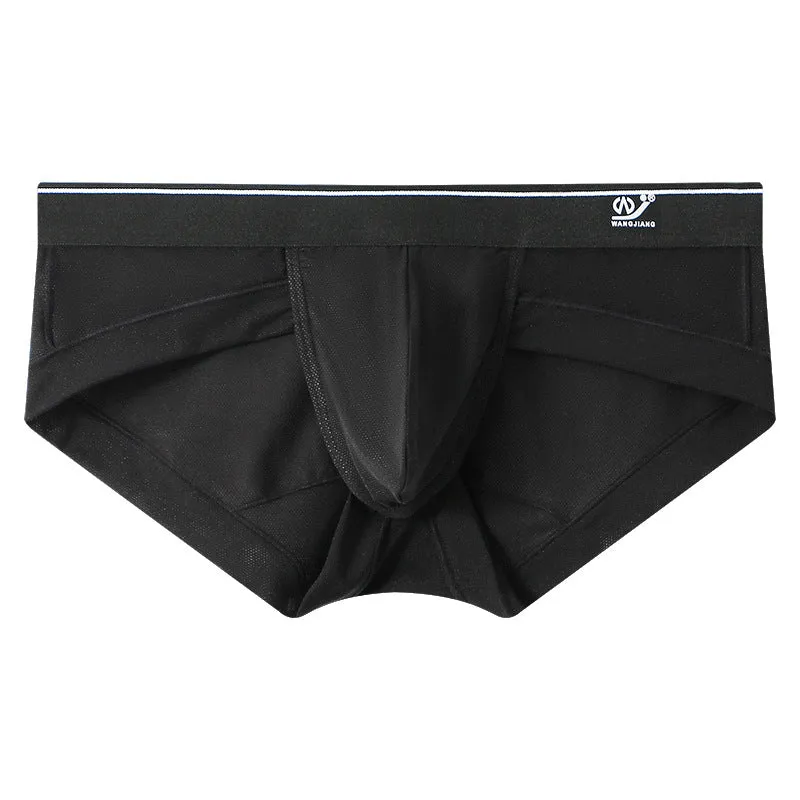 2023 Newest Ice Silk Mesh Men's Brief