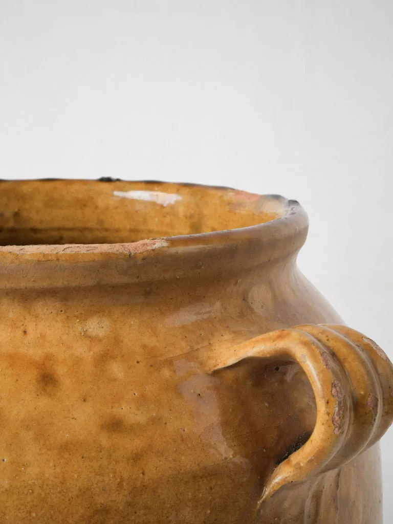 Extra large yellow demi glaze confit pot 13¾"