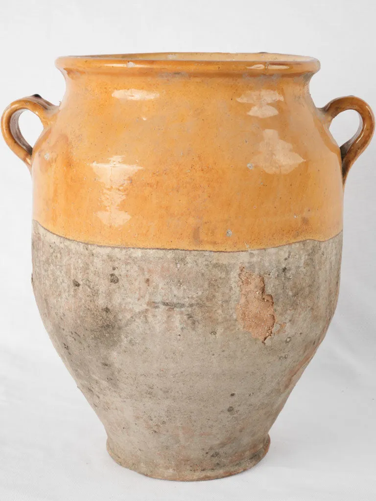 Large 19th Century Confit Pot - Yellow 14½"