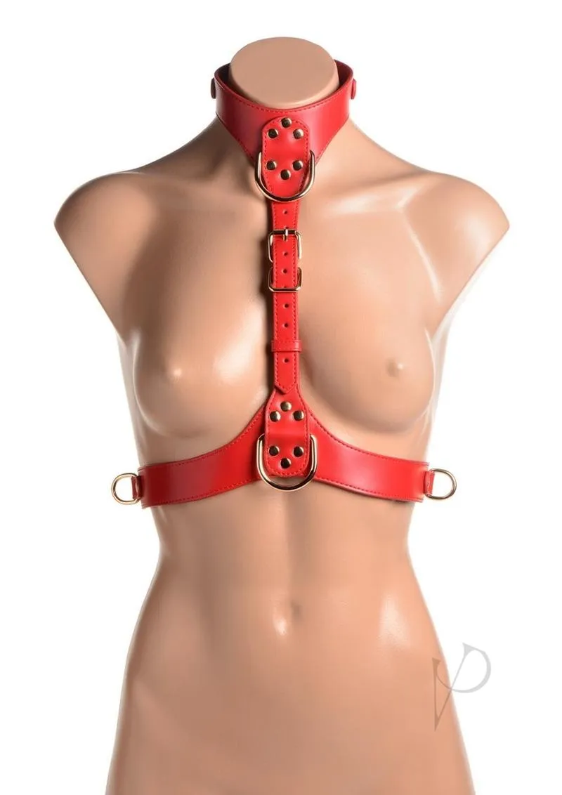 Strict Female Chest Harness S/m Red